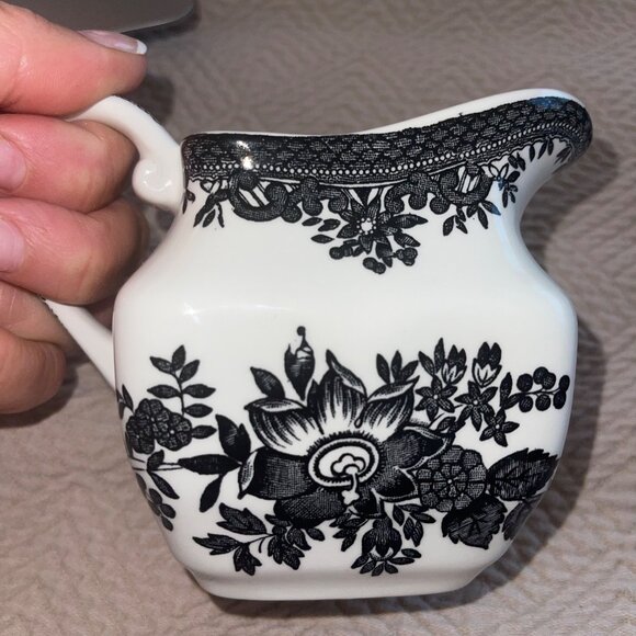 Johnson Brothers Asiatic Pheasant Black Creamer And Sugar Set - Picture 2 of 12